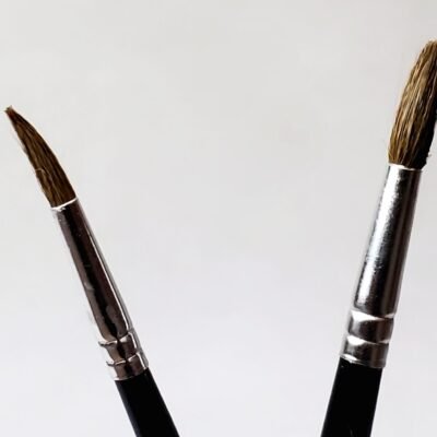 Omega Professional Artist Paint Brush