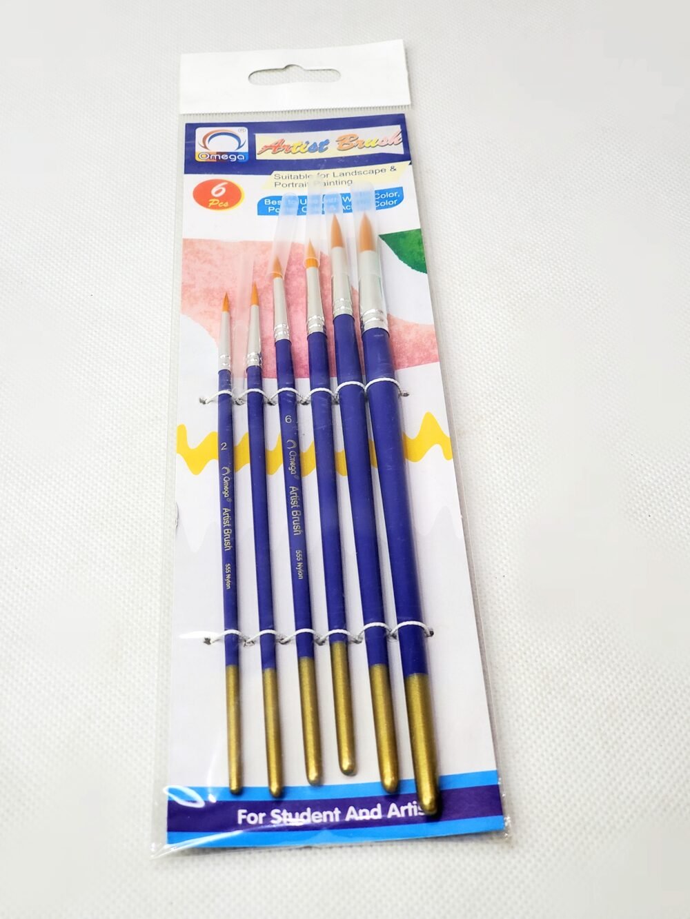 PROFESSIONAL ARTIST BRUSH (ROUND) SET – 6 PCS