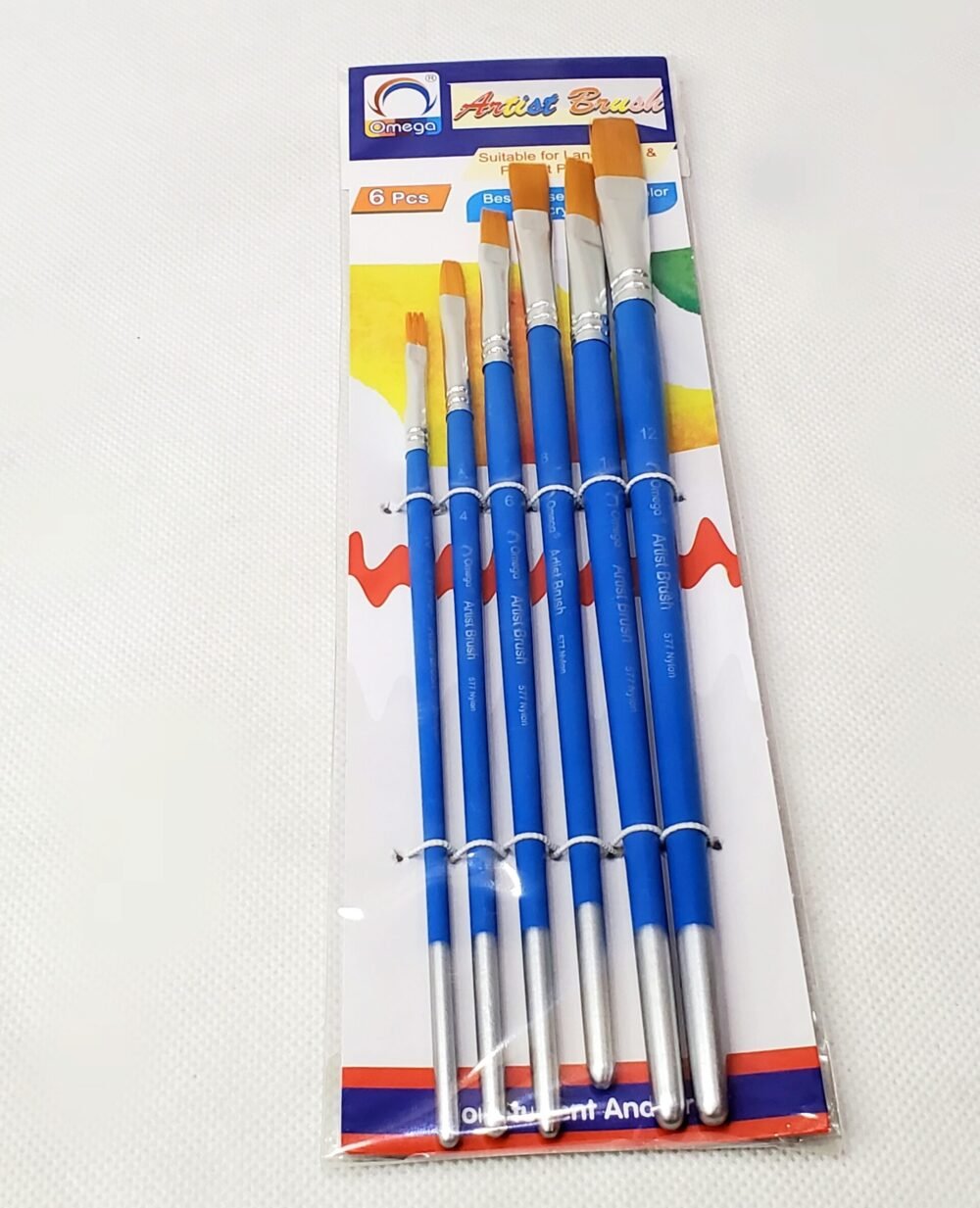 Professional Artist Brush Set - 6 Pcs