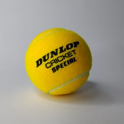 Buy Dunlop Cricket Special Ball With Premium Quality at PK